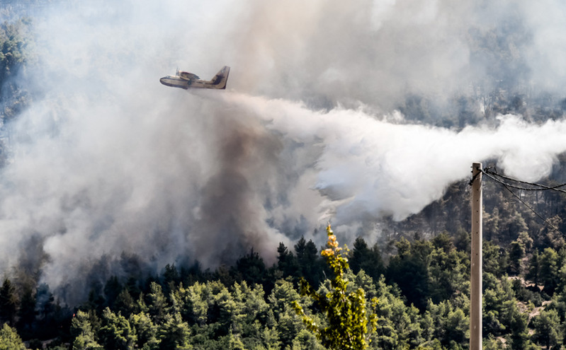 Φωτιές στην Αττική: Πολλές εστίες στα Βίλια &#8211; Οριοθετήθηκε η πυρκαγιά στην Κερατέα