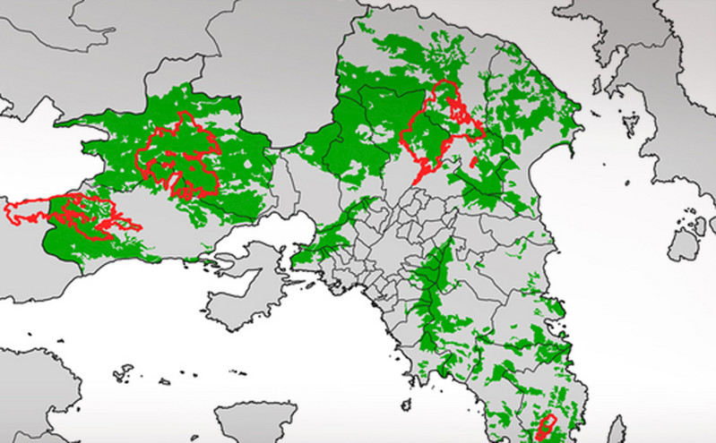Οι τέσσερις μεγάλες φωτιές έκαψαν το 16% των δασών της Αττικής