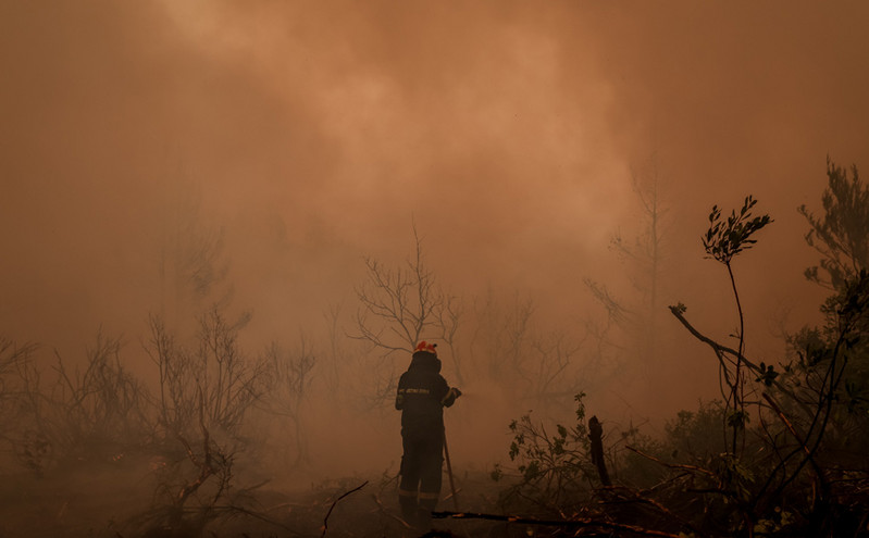 Φωτιά τώρα στη Μαγνησία &#8211; Μήνυμα εκκένωσης από το 112