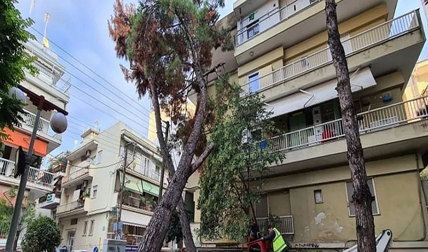 Θεσσαλονίκη: Δέντρο έπεσε πάνω σε πολυκατοικία στο κέντρο της Καλαμαριάς