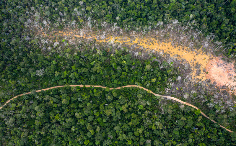 Μια καταστροφή – εφιάλτης για τον πλανήτη μας: Η Αμαζονία πλησιάζει το σημείο της κλιματικής ανατροπής
