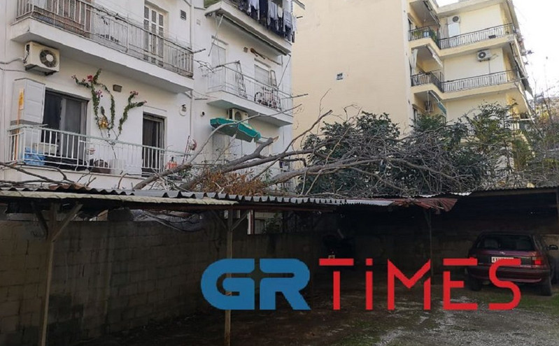 Θεσσαλονίκη: Δέντρο είναι έτοιμο να πέσει σε σπίτι &#8211; «Κινδυνεύει η ζωή μου» λέει η ένοικος