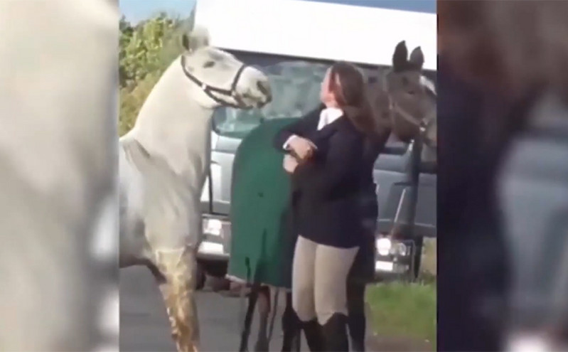 Βρετανία: Γυναίκα κλωτσάει και χαστουκίζει άλογο – Σάλος με την κακοποίησή του