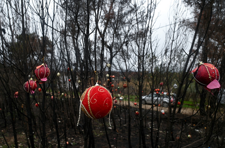 Χριστούγεννα 2021: Οι κάτοικοι της Βαρυμπόμπης στόλισαν τα καμένα δέντρα