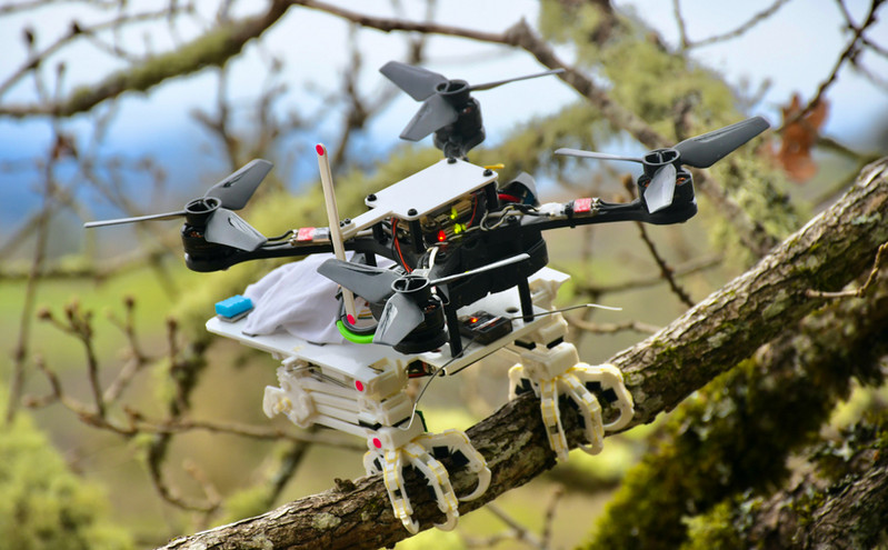 Το πρώτο ρομπότ με πόδια που γραπώνονται στα δέντρα σαν πουλί &#8211; Πού μπορεί να χρησιμοποιηθεί