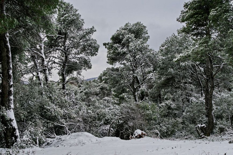 Κακοκαιρία Ελπίδα: Χιόνια στην Αττική &#8211; Ντύθηκαν στα λευκά Πάρνηθα, Πεντέλη και Υμηττός