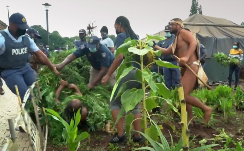 Νότια Αφρική: Συνελήφθη ο «βασιλιάς» μιας κοινότητας επειδή καλλιεργούσε κάνναβη στον κήπο του προεδρικού μεγάρου