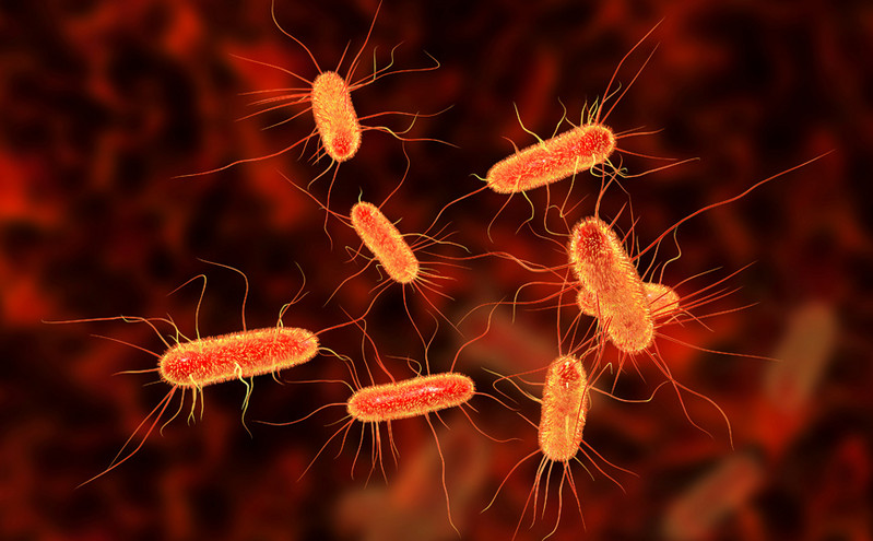Έρευνα: Περισσότεροι οι θάνατοι από βακτηριακές λοιμώξεις παρά από το AIDS &#8211; «Καμπανάκι» για τα αντιβιοτικά