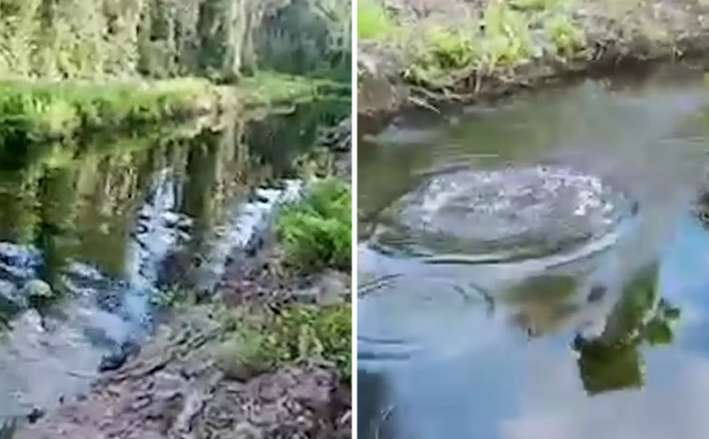 Σοκαριστικό βίντεο με κροκόδειλο να καταβροχθίζει άνδρα σε ποτάμι