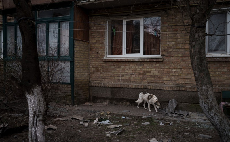 Ουκρανός παρηγορεί σκύλο παραλυμένο από τον φόβο &#8211; Δείτε το στιγμιότυπο γροθιά στο στομάχι