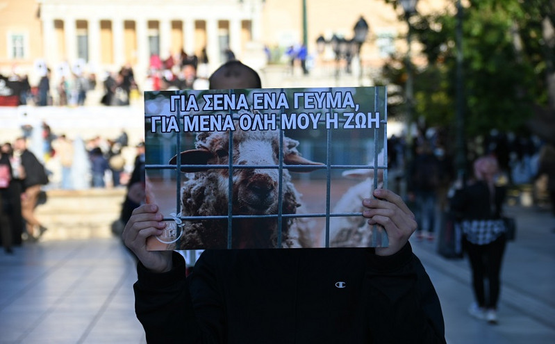 Διαμαρτυρία στο Σύνταγμα κατά της θανάτωσης των ζώων για το Πάσχα: «Για σένα ένα γεύμα, για μένα όλη μου η ζωή»