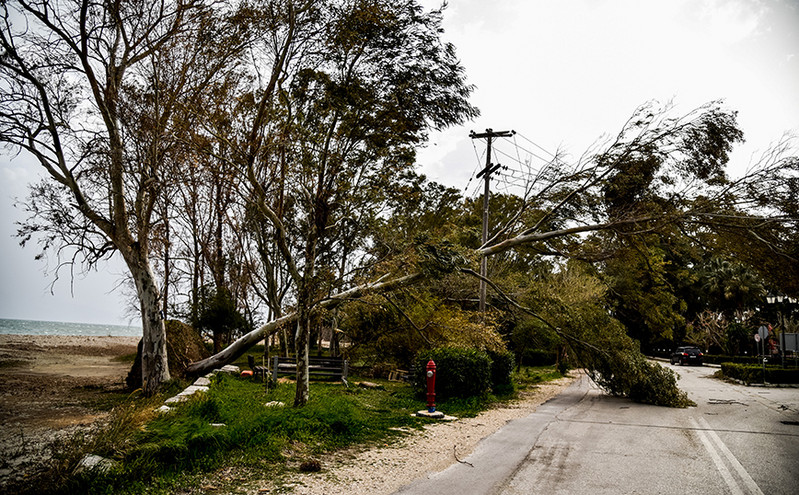 Κακοκαιρία: Θυελλώδεις άνεμοι στη νότια Εύβοια – Έφτασαν τα 143 χλμ/ώρα