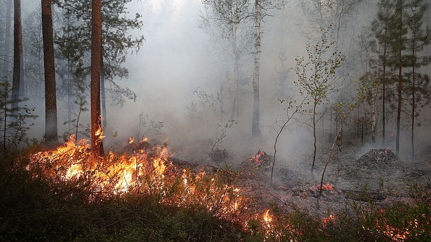 Ρωσία: Τουλάχιστον δέκα νεκροί από τις πυρκαγιές στη Σιβηρία