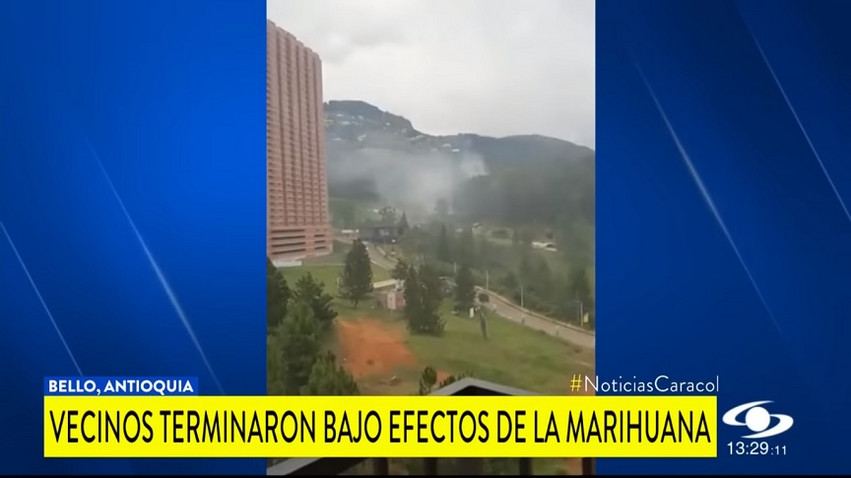 Κολομβία: Οι αρχές έκαψαν 1,5 τόνο μαριχουάνα και όλη η πόλη «φτιάχτηκε»