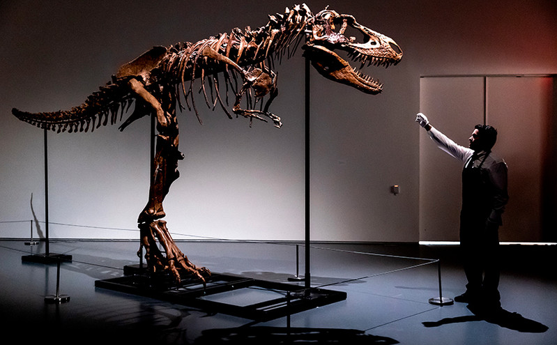 Δημοπρασία έκπληξη για ένα απολίθωμα δεινοσαύρου 76 εκατομμυρίων ετών &#8211; Στο «σφυρί» για 5 έως 8 εκατομμύρια δολάρια