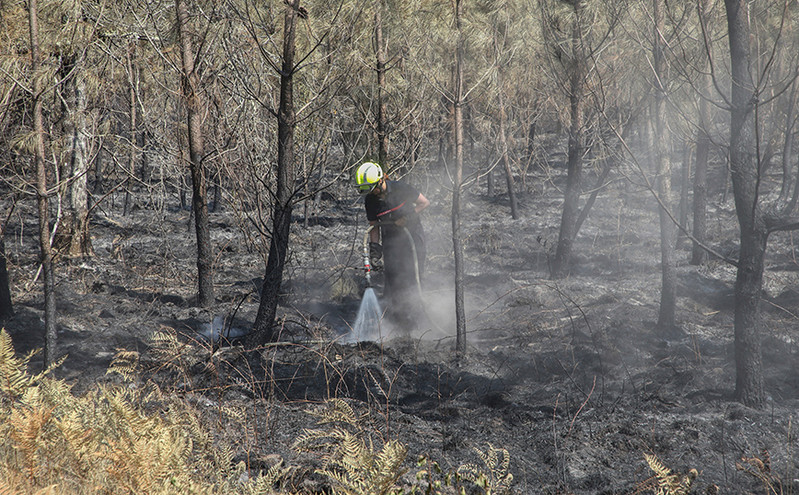 Γαλλία: Οριοθετήθηκε η μεγάλη δασική φωτιά στην Αρντές – Έχει καταστρέψει σχεδόν 12.000 στρέμματα