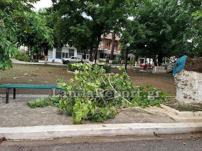 Λαμία: Ζημιές σε καλλιέργειες από μπουρίνι &#8211; Έσπασε δέντρα και σήκωσε σκεπές στο Δήμο Μακρακώμης