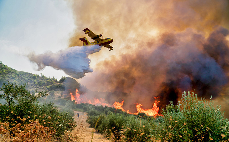 Κλιματική αλλαγή: Διεθνής μελέτη προειδοποιεί για τις δασικές πυρκαγιές στη Μεσόγειο τα επόμενα χρόνια