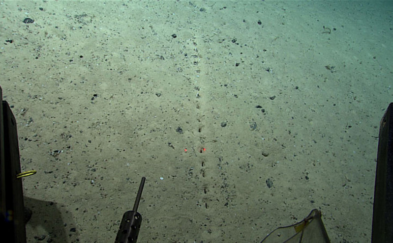 Οι μυστηριώδεις τρύπες που βρέθηκαν στον πάτο του ωκεανού και προβληματίζουν τους επιστήμονες