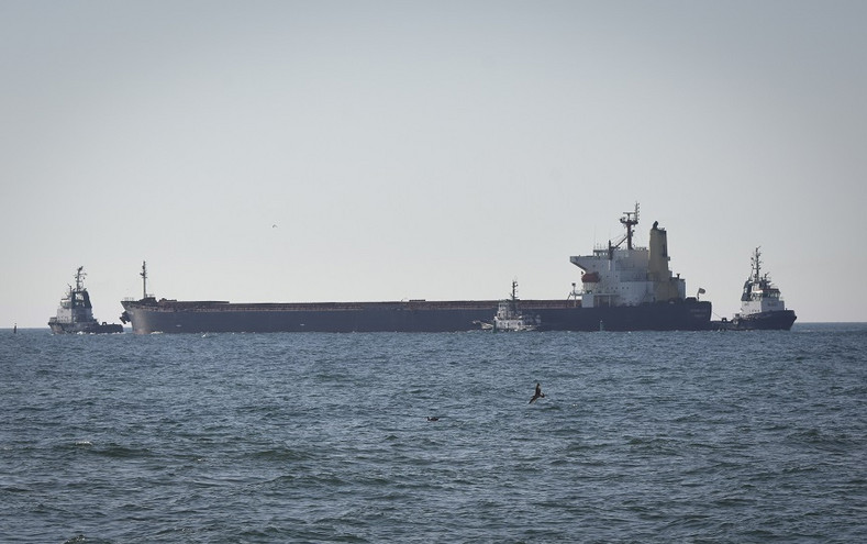 Τουρκία: Έδεσε σε λιμάνι της Μερσίνας το πρώτο πλοίο με ουκρανικά σιτηρά