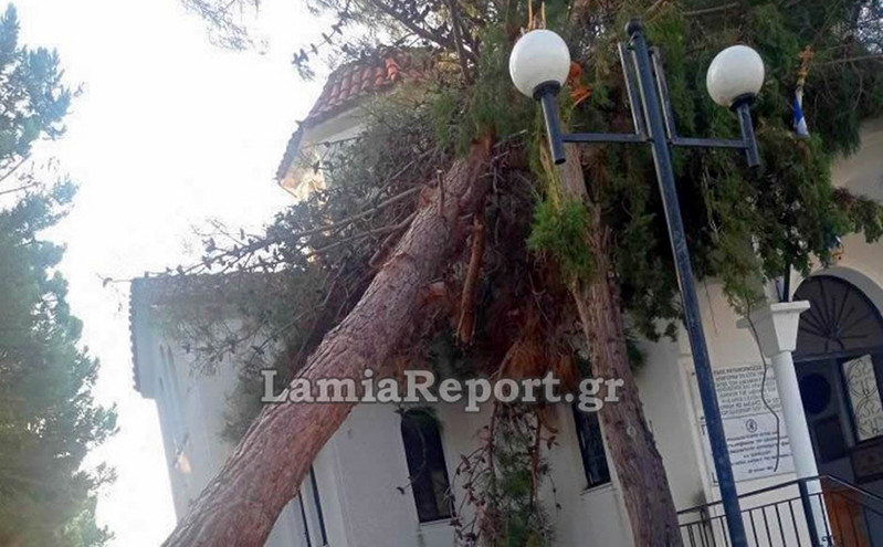 Φθιώτιδα: Η νεροποντή έριξε δέντρο πάνω σε εκκλησία