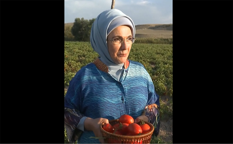 H Εμινέ Ερντογάν μαζεύει ντομάτες στα χωράφια – Δείτε βίντεο και φωτογραφίες