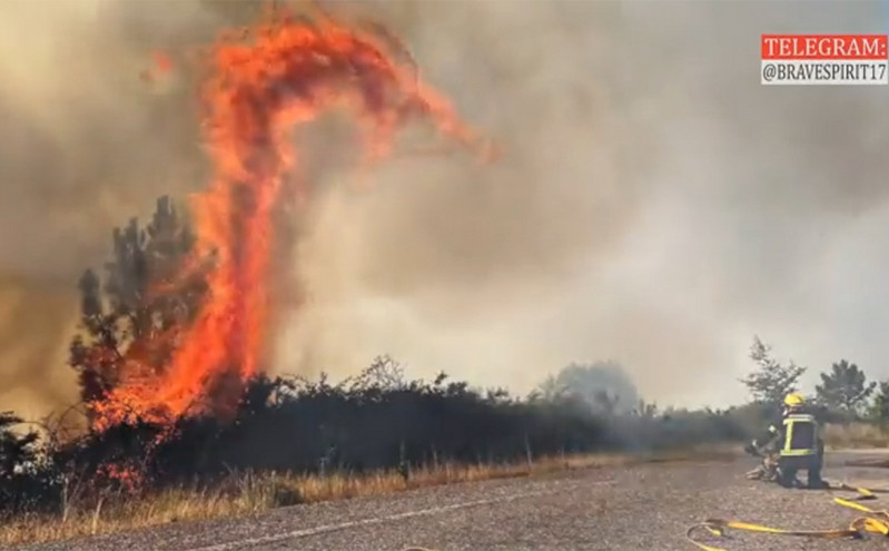 Γαλλία: Οι Αρχές της χώρας προειδοποιούν για «δράκους της φωτιάς» &#8211; Δείτε εντυπωσιακό βίντεο