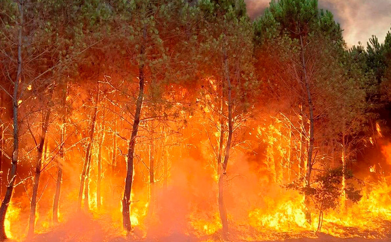 Οι φωτιές καταστρέφουν πλέον διπλάσια επιφάνεια δασών σε σχέση με 20 χρόνια πριν