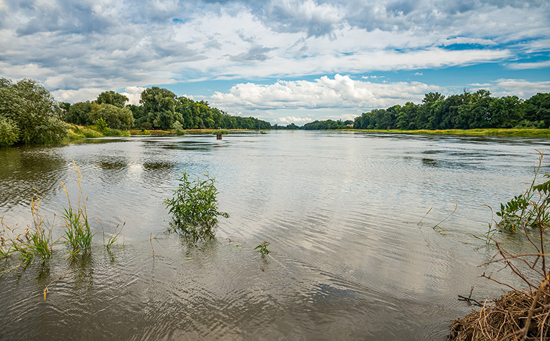 Μυστήριο στην Πολωνία: 100 τόνοι νεκρών ψαριών στον ποταμό Όντερ