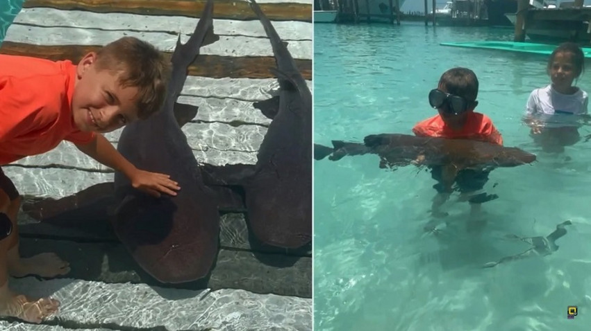 Τρόμος στις Μπαχάμες: 8χρονος δέχθηκε επίθεση από καρχαρίες