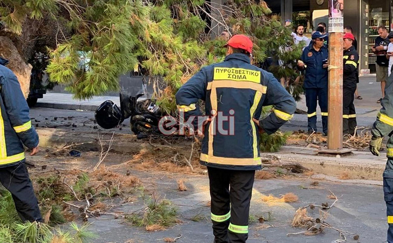 Τραγωδία στο Ηράκλειο: Δέντρο καταπλάκωσε και σκότωσε μοτοσικλετιστή που είχε σταματήσει στο φανάρι