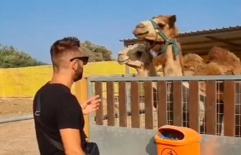Κύπριος μουσικός τραγούδησε Αργυρό σε καμήλες κι αυτές το ρίχνουν στο χορό