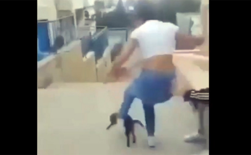 Κρήτη: Βίντεο με μαθήτρια που κλωτσά γάτα και γελά με τις φίλες της