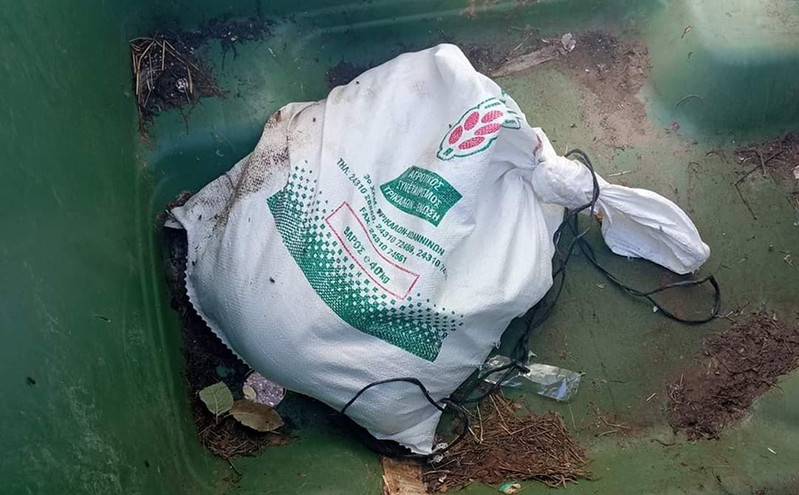 Φρίκη στα Τρίκαλα: Έδεσαν σε σακούλα έξι κουτάβια για να πεθάνουν