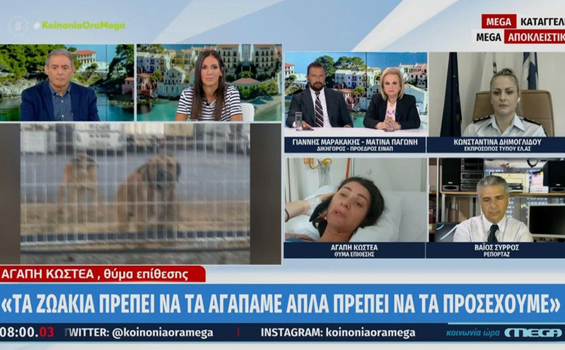 Συγκλονίζει η 34χρονη που δαγκώθηκε από σκυλιά: Όπως αγαπάω εγώ τα ζώα, το ίδιο θα μάθω και τα παιδιά μου