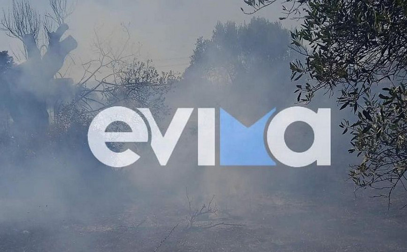 Εύβοια: Μεγάλη φωτιά στην Ερέτρια κοντά σε ξενοδοχείο