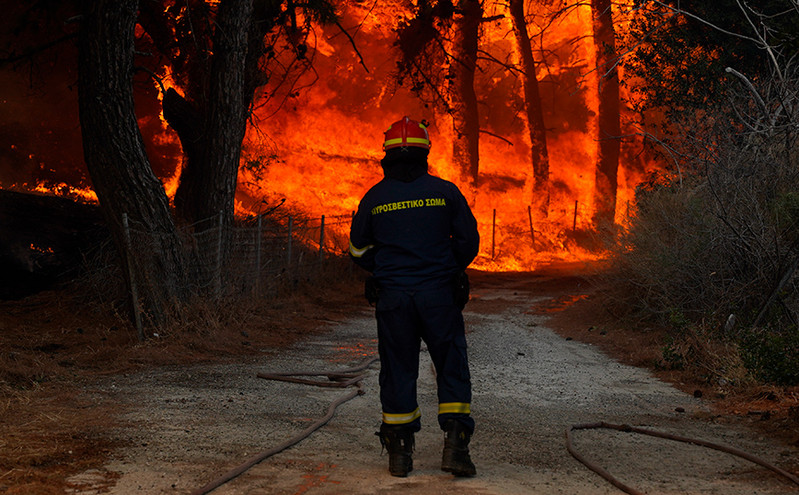Φωτιές: Οι καμένες εκτάσεις στην Ελλάδα φέτος ήταν περίπου 200.000 στρέμματα &#8211; Βοήθησε το ότι δεν ήταν «θερμό» καλοκαίρι