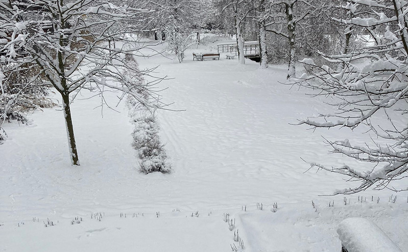 Σουηδία: Από τους 16,7 βαθμούς στο ψύχος &#8211; Τα πάντα καλύφθηκαν από το χιόνι