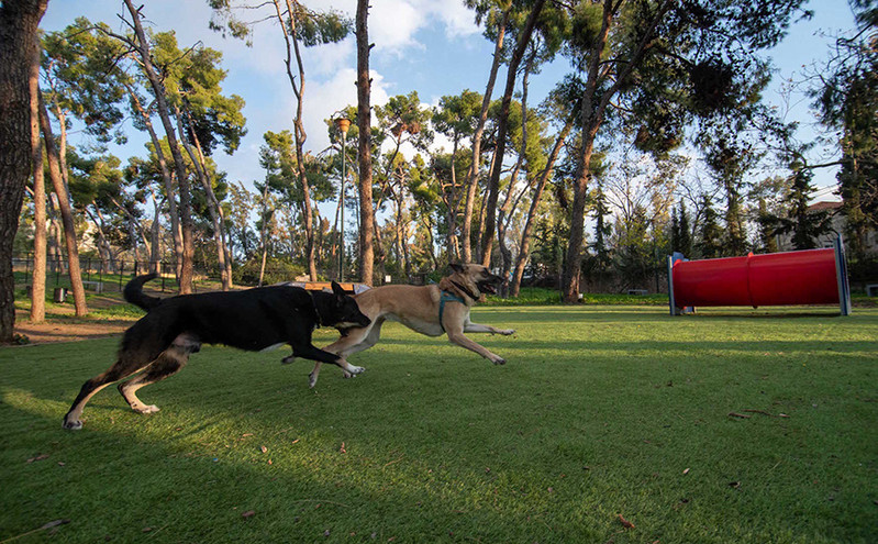 Δύο νέα σύγχρονα dog parks από τον δήμο Αθηναίων