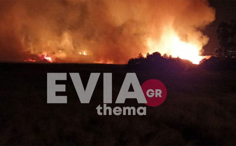 Μεγάλη φωτιά στα Ψαχνά Ευβοίας: Ανεξέλεγκτες οι φλόγες &#8211; Δείτε βίντεο