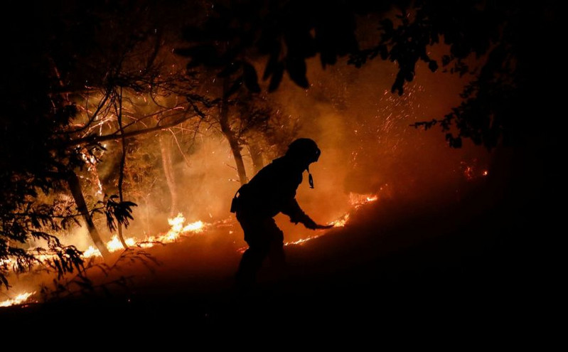 Τουλάχιστον 13 νεκροί από τις δασικές πυρκαγιές στη Χιλή