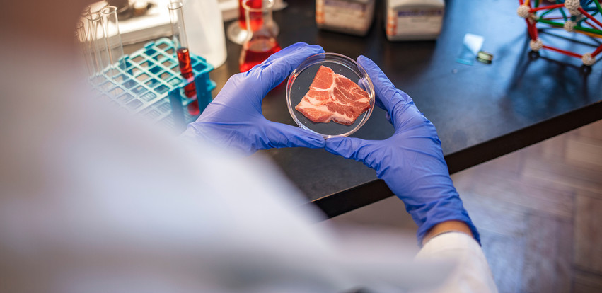 Τεχνητό Κρέας: Από το εργαστήριο στο πιάτο μας