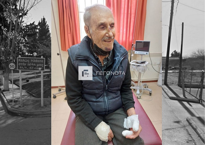 Βόλος: Άγρια επίθεση από αδέσποτα δέχθηκε 93χρονος – Μεταφέρθηκε στο νοσοκομείο