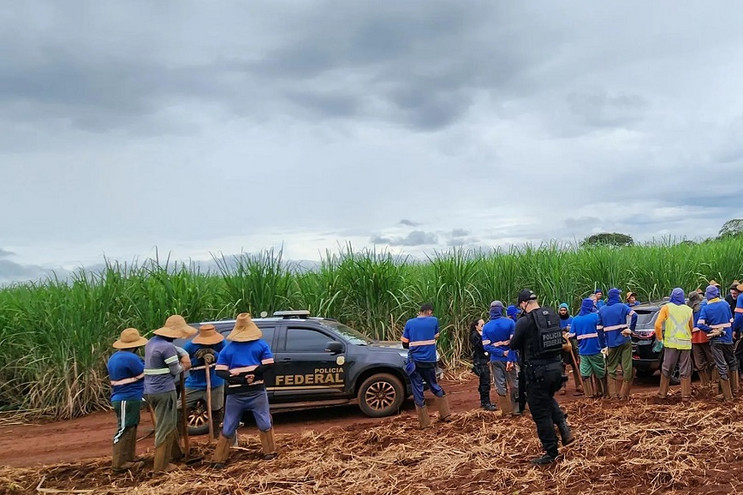 Απελευθερώθηκαν 212 εργάτες γης στη Βραζιλία που κρατούνταν σε συνθήκες «δουλείας»