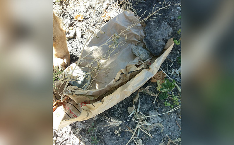 Κτηνωδία στο Ηράκλειο &#8211; Δηλητηρίασαν τέσσερα σκυλιά και μια γάτα με φόλες
