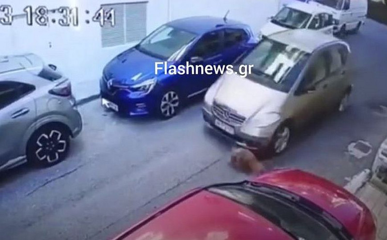 Ηράκλειο: Σοκαριστικό βίντεο με αυτοκίνητο να πατάει εν ψυχρώ σκύλο