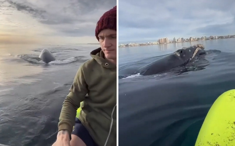 Εντυπωσιακό βίντεο με γιγάντια φάλαινα κοντά σε άντρα που κάνει καγιάκ