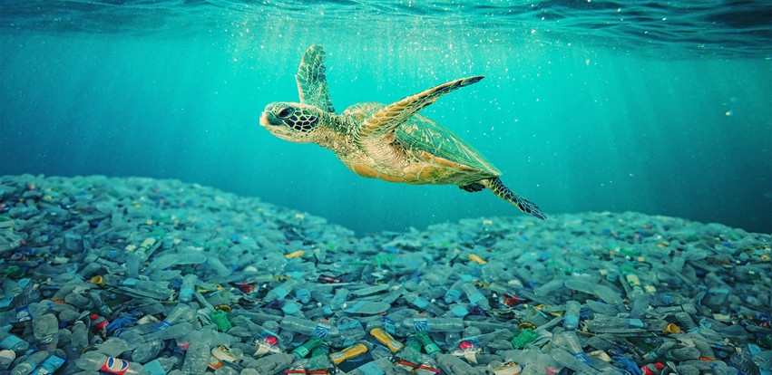 Ζωή στα σκουπίδια: Στον μεγάλο σκουπιδότοπο του Ειρηνικού δημιουργήθηκε ένα νέο οικοσύστημα