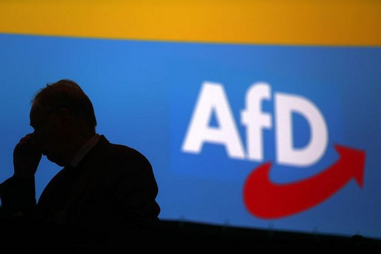 Αντιδράσεις για το τετ α τετ πολιτικών της AfD με νεοναζί