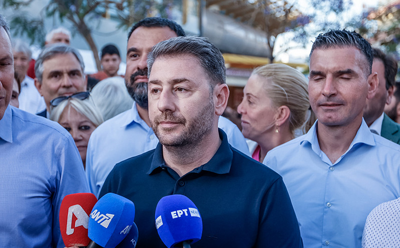 Nίκος Ανδρουλάκης: Προτεραιότητα του ΠΑΣΟΚ είναι η αναγέννηση του Εθνικού Συστήματος Υγείας
